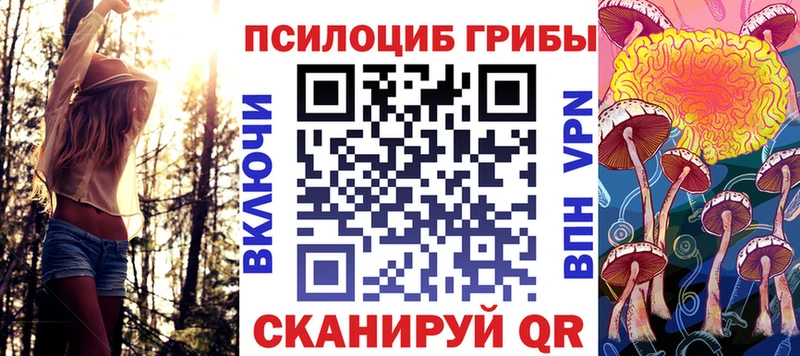 Галлюциногенные грибы мицелий  цена   Каменногорск 